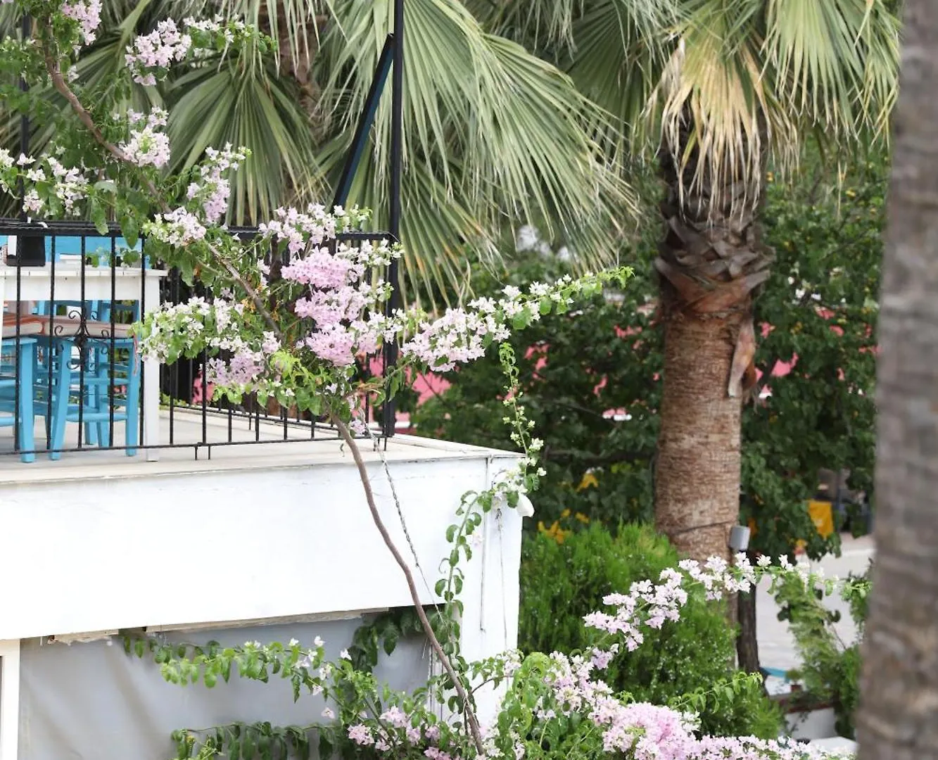 Yeni Doga Hotel Dalyan Turkey