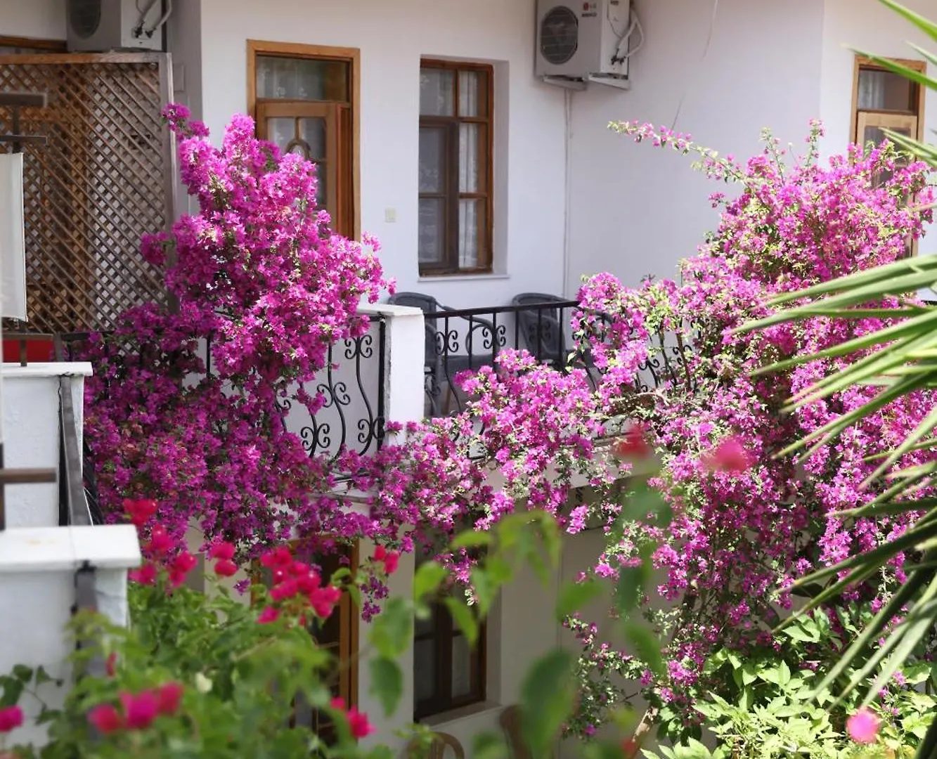 Yeni Doga Hotel Dalyan Turkey