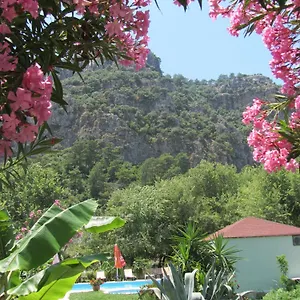 Sirius Guest house