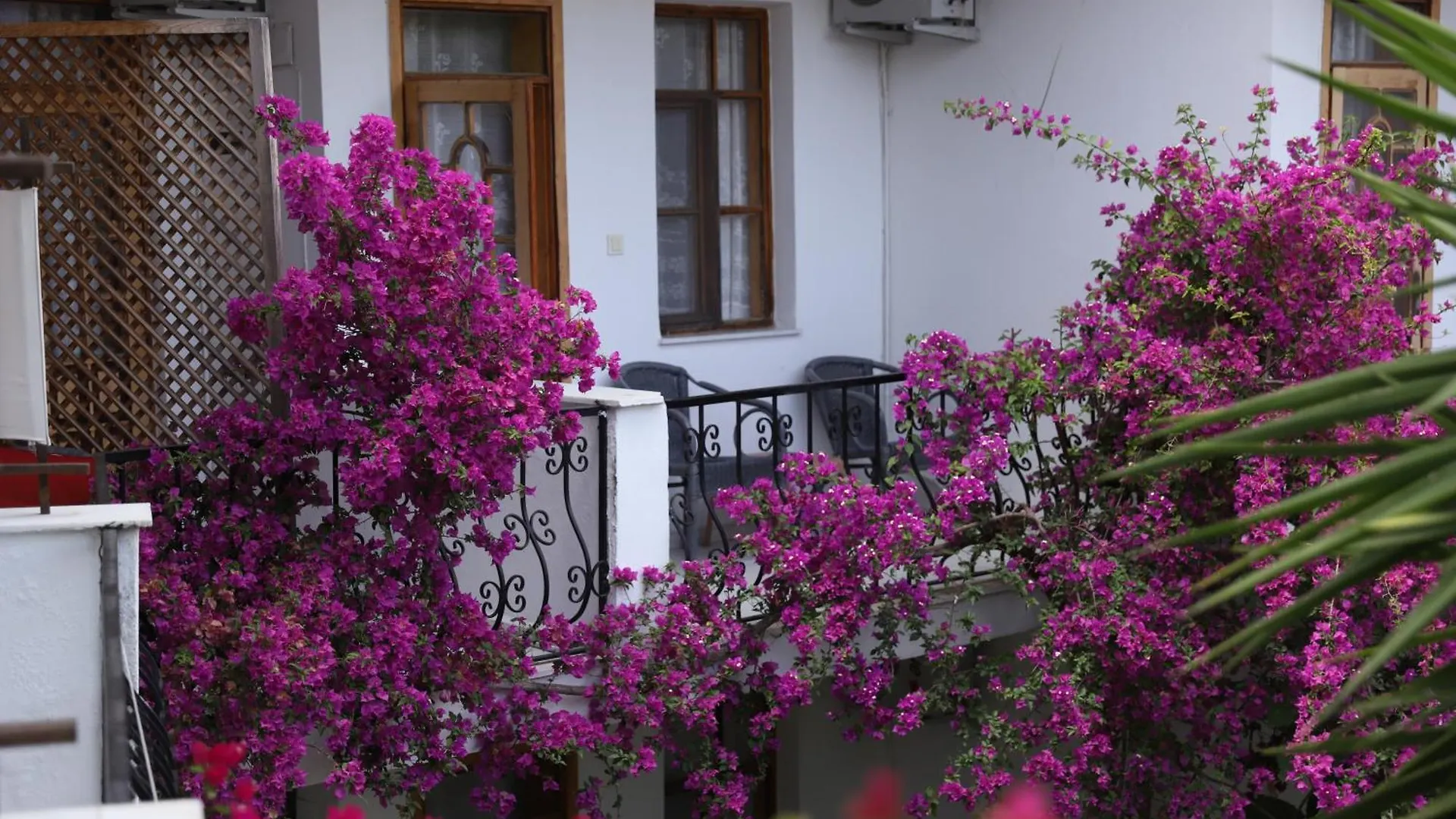 Garden Bloom Hotel Dalyan Turkey